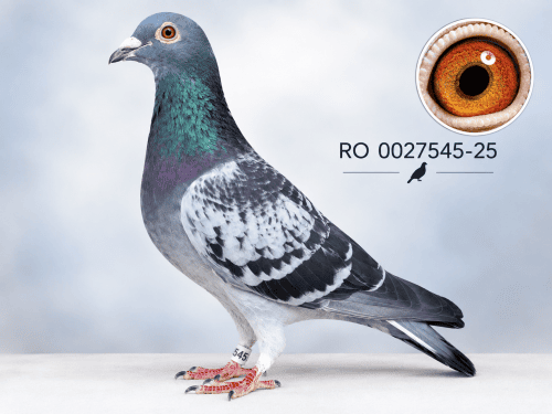 RO 0027545-25 M Orig.Cioaca Florin