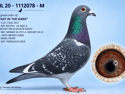 NL 20-1112078 M Orig.Herman Brinkman