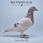 RO-576925-26 M – Orig. Novac Alin