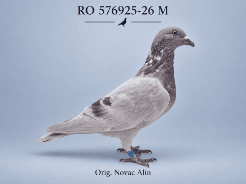 RO-576925-26 M – Orig. Novac Alin