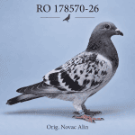 RO-178570-26 M – Orig. Novac Alin