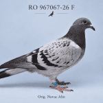 RO-967067-26 F – Orig. Novac Alin