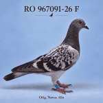 RO-967091-26 F – Orig. Novac Alin