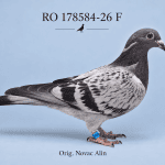RO-178584-26 F – Orig. Novac Alin