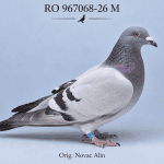 RO-967068-26 M – Orig. Novac Alin